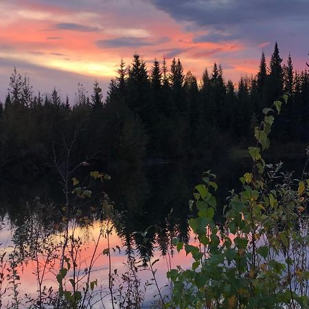 Alaska Log Cabins On The Pond Clear Creek Park المظهر الخارجي الصورة